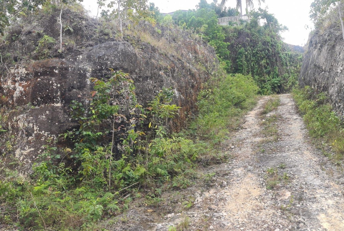 Fifth image of 179 Spring Garden in Reading, St. James, Jamaica - property is For Sale