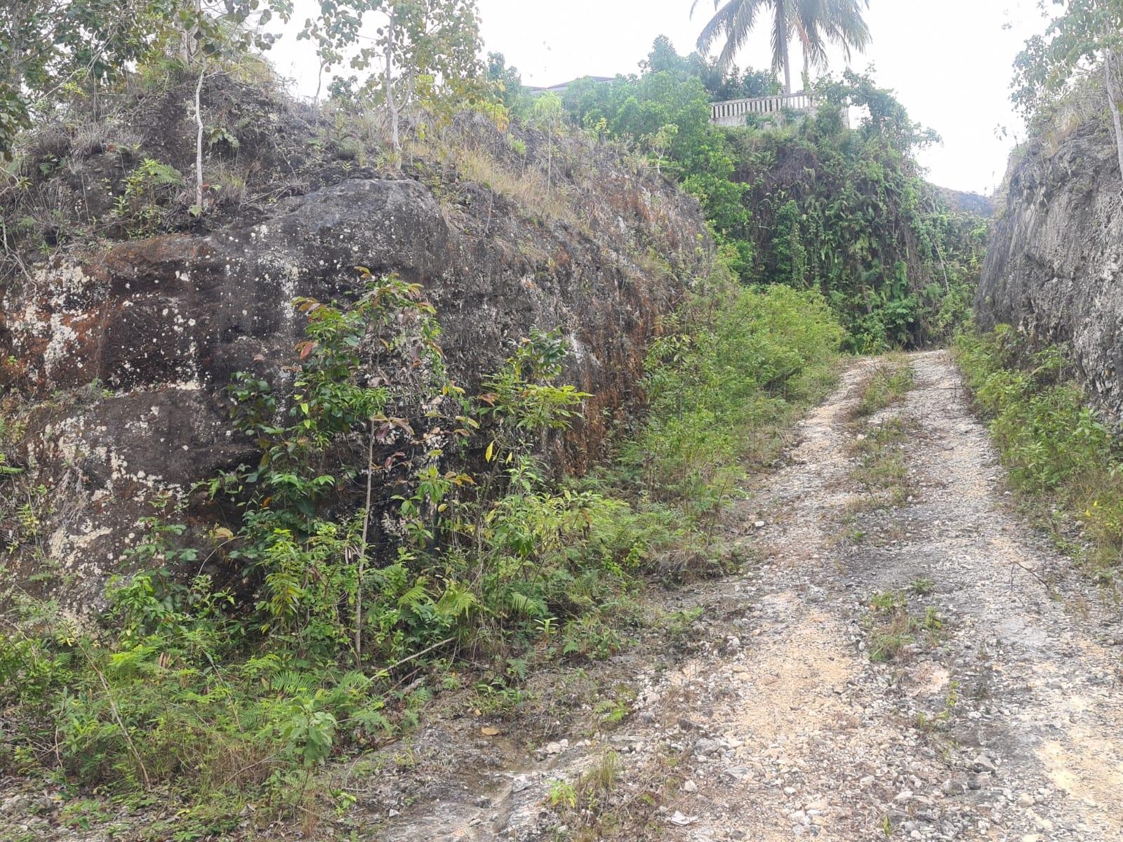 Fifth image of 179 Spring Garden in Reading, St. James, Jamaica - property is For Sale