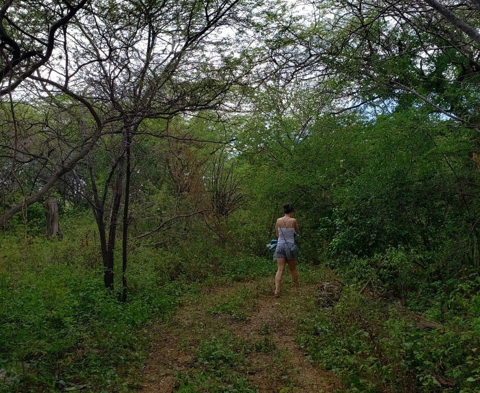 Seventh image of Lot 3d Fort Charles, Treasure be in Treasure Beach, St. Elizabeth, Jamaica - property is For Sale