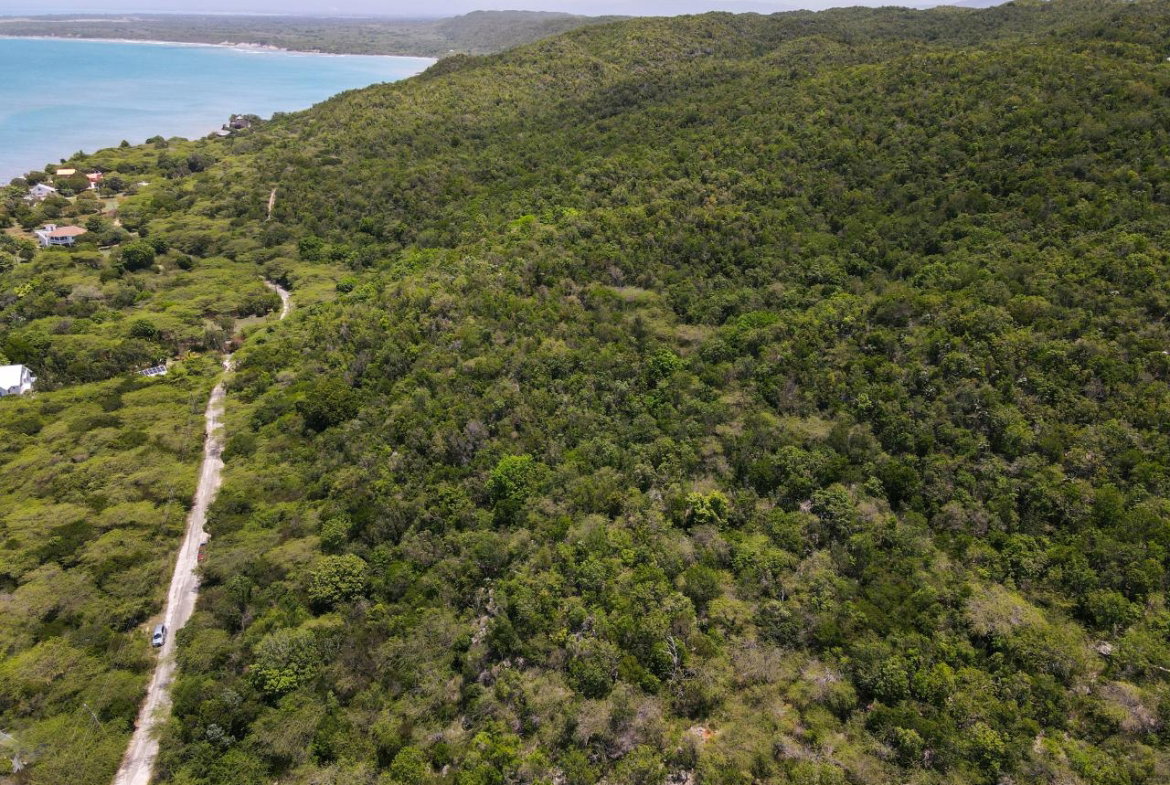 Eighth image of Lot 3d Fort Charles, Treasure be in Treasure Beach, St. Elizabeth, Jamaica - property is For Sale