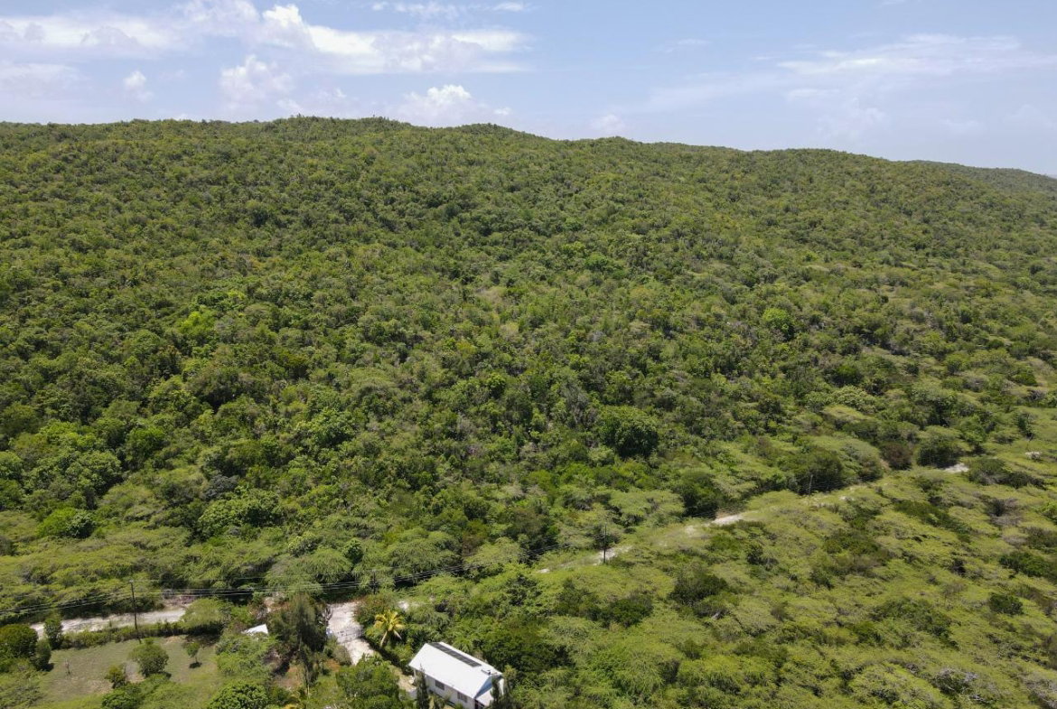 Ninth image of Lot 3d Fort Charles, Treasure be in Treasure Beach, St. Elizabeth, Jamaica - property is For Sale
