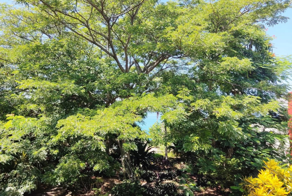 Twenty-Ninth image of Westend Road in Negril, Westmoreland, Jamaica - property is For Sale