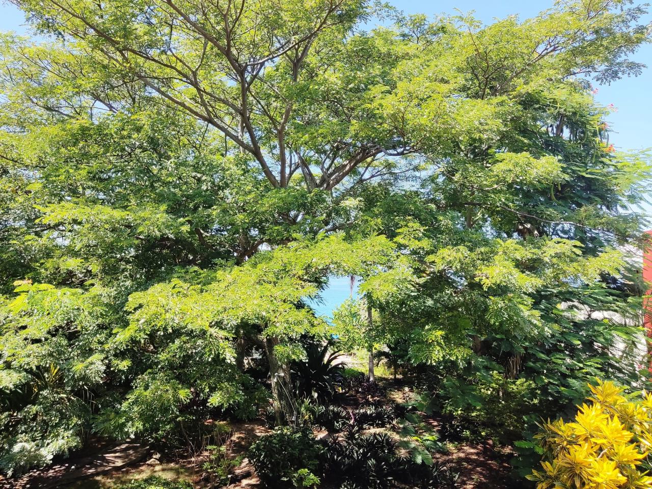Stunning-Oceanfront-Villa-for-Sale-in-Westmoreland-Jamaica Twenty-Ninth image of Westend Road in Negril, Westmoreland, Jamaica - property is For Sale
