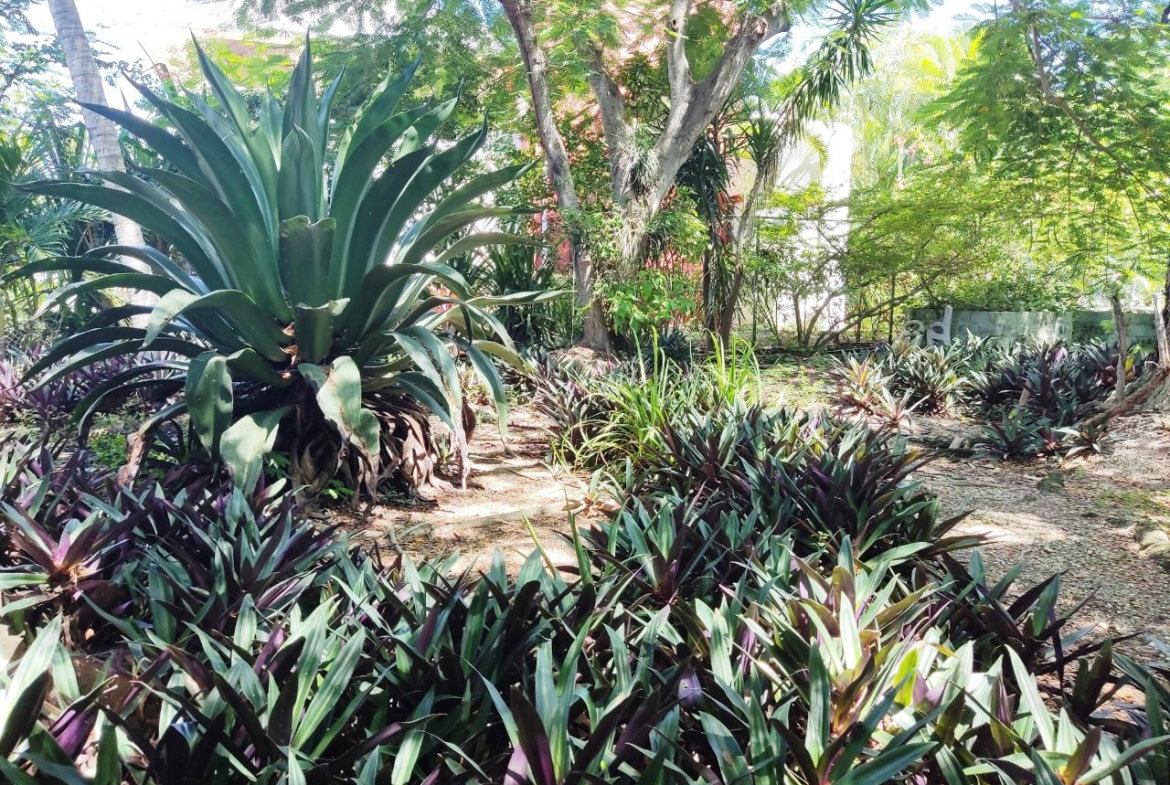 Eighth image of Westend Road in Negril, Westmoreland, Jamaica - property is For Sale