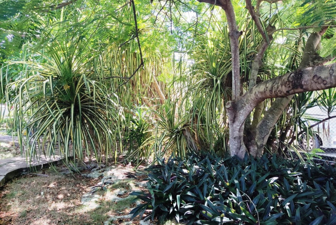 Ninth image of Westend Road in Negril, Westmoreland, Jamaica - property is For Sale