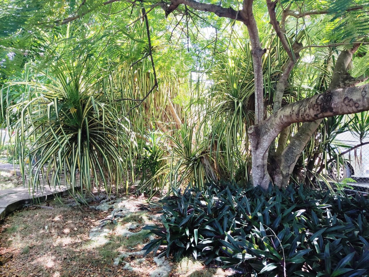 Stunning-Oceanfront-Villa-for-Sale-in-Westmoreland-Jamaica Ninth image of Westend Road in Negril, Westmoreland, Jamaica - property is For Sale