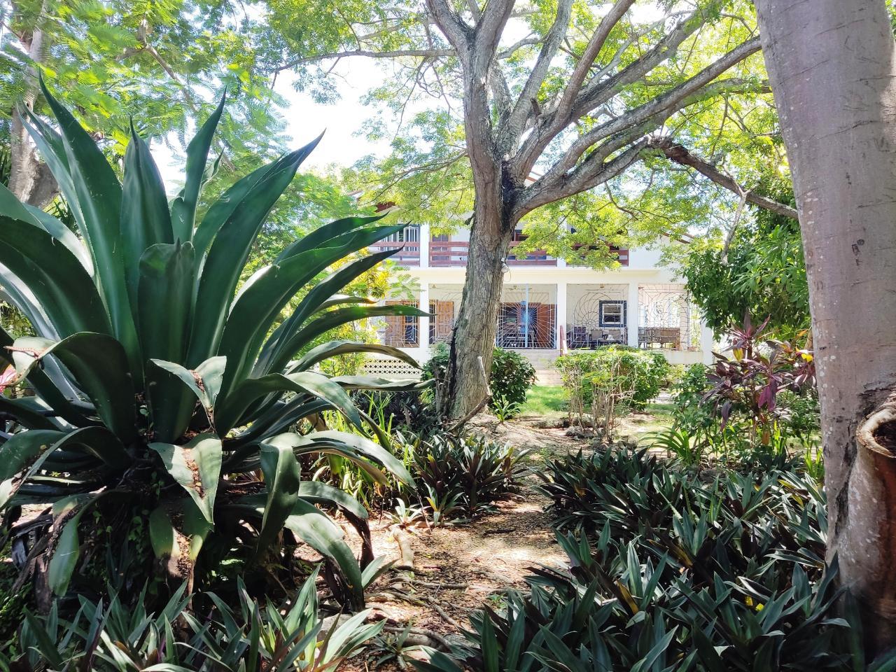 Stunning-Oceanfront-Villa-for-Sale-in-Westmoreland-Jamaica Tenth image of Westend Road in Negril, Westmoreland, Jamaica - property is For Sale