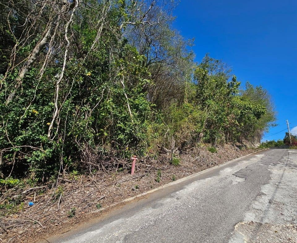 Third image of 303- Hillside Villas, Culloden in WHITEHOUSE, Westmoreland, Jamaica - property is For Sale