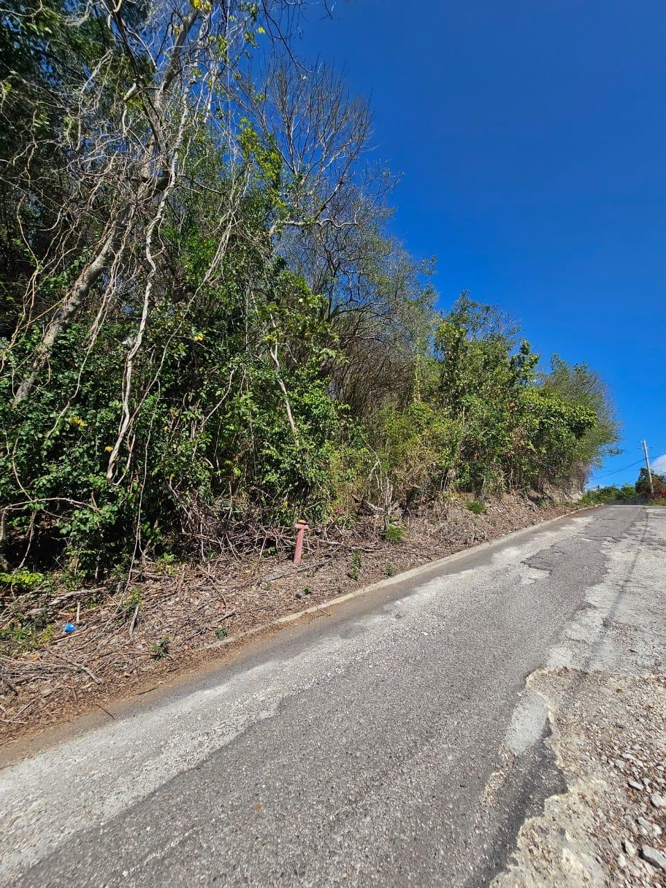 Third image of 303- Hillside Villas, Culloden in WHITEHOUSE, Westmoreland, Jamaica - property is For Sale