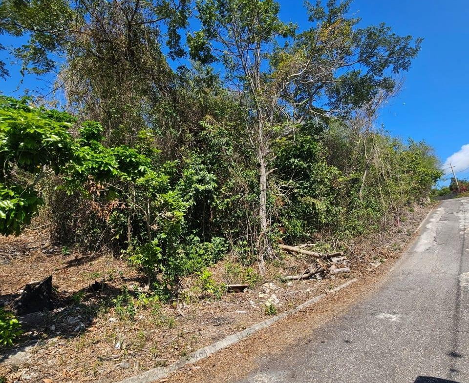 Fourth image of 303- Hillside Villas, Culloden in WHITEHOUSE, Westmoreland, Jamaica - property is For Sale