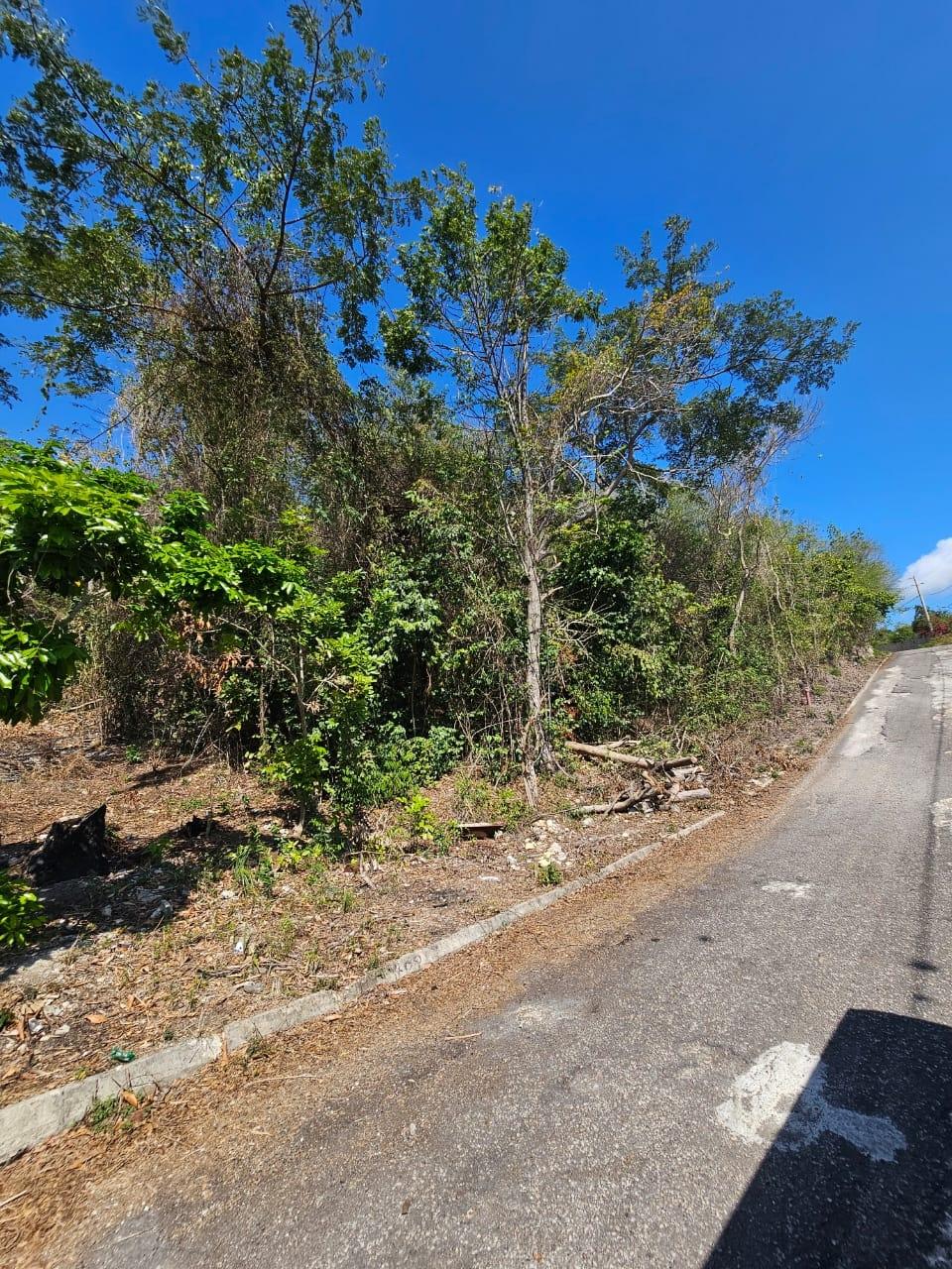 Fourth image of 303- Hillside Villas, Culloden in WHITEHOUSE, Westmoreland, Jamaica - property is For Sale