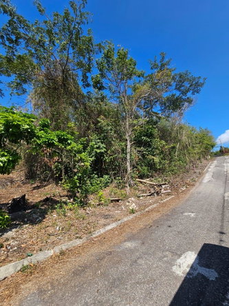 Fourth image of 303- Hillside Villas, Culloden in WHITEHOUSE, Westmoreland, Jamaica - property is For Sale