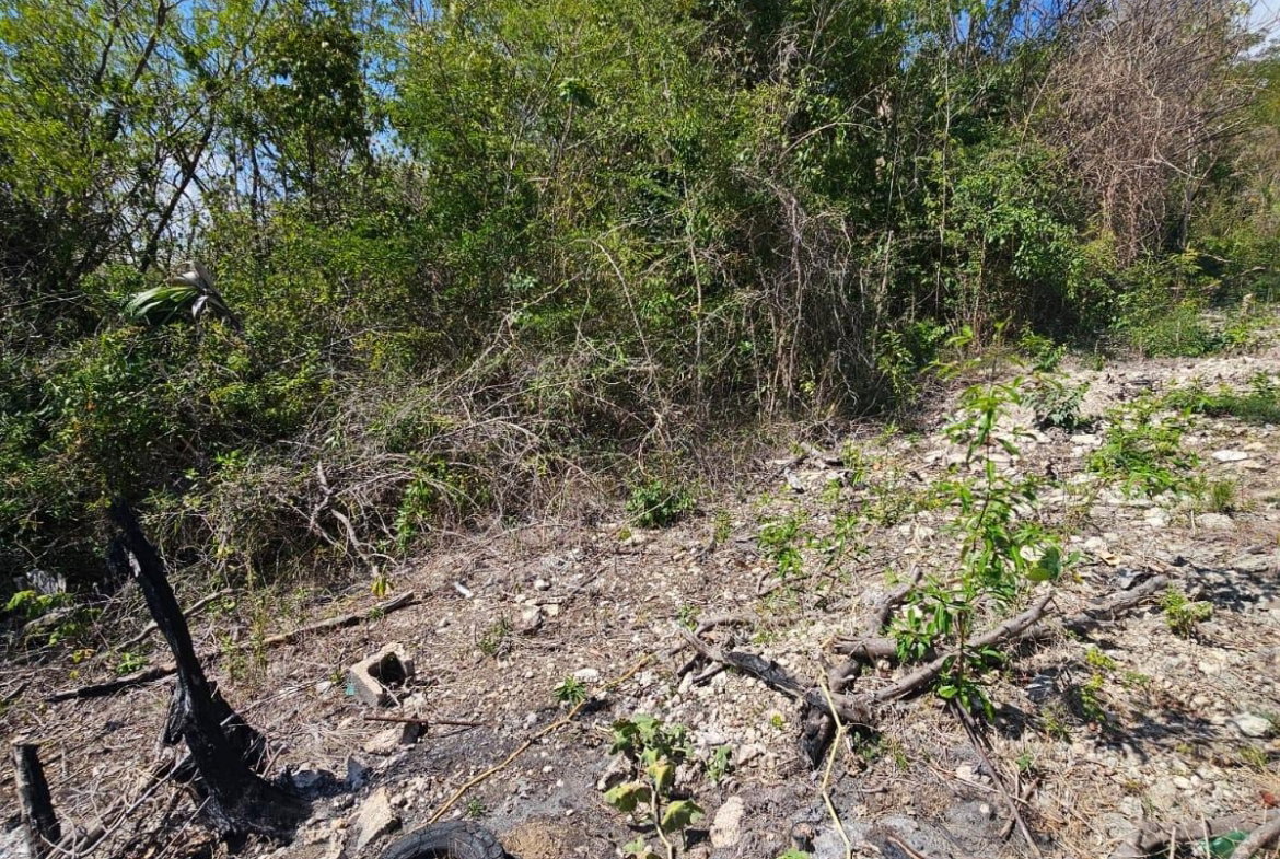 Fifth image of 303- Hillside Villas, Culloden in WHITEHOUSE, Westmoreland, Jamaica - property is For Sale