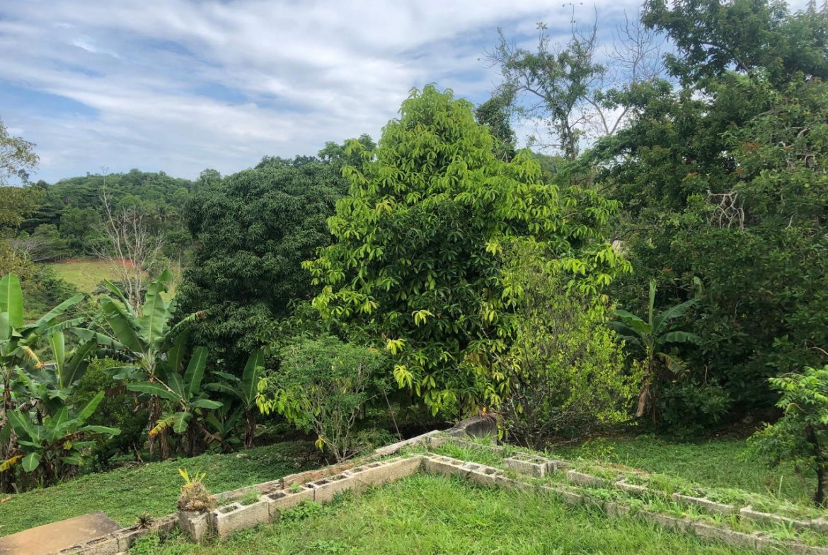 Nineteenth image of Dawkins District, Mocho in Mocho, Clarendon, Jamaica - property is For Sale