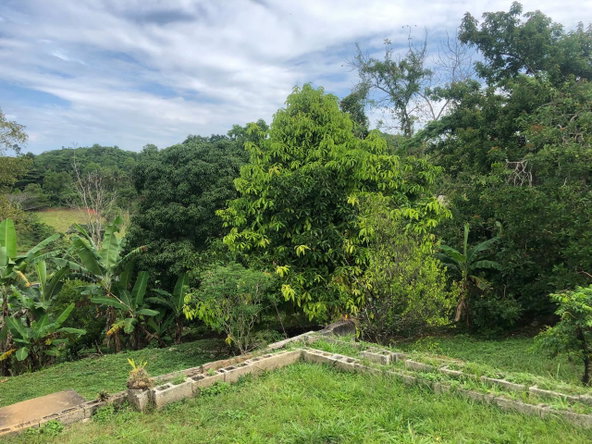 Nineteenth image of Dawkins District, Mocho in Mocho, Clarendon, Jamaica - property is For Sale