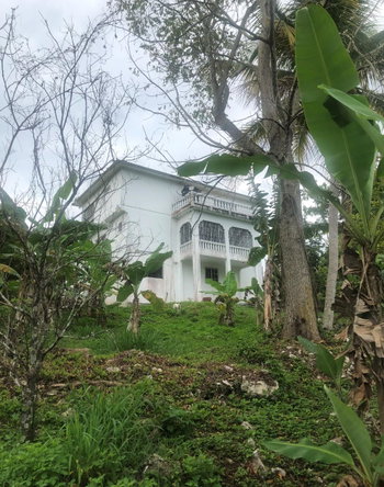 Third image of Dawkins District, Mocho in Mocho, Clarendon, Jamaica - property is For Sale