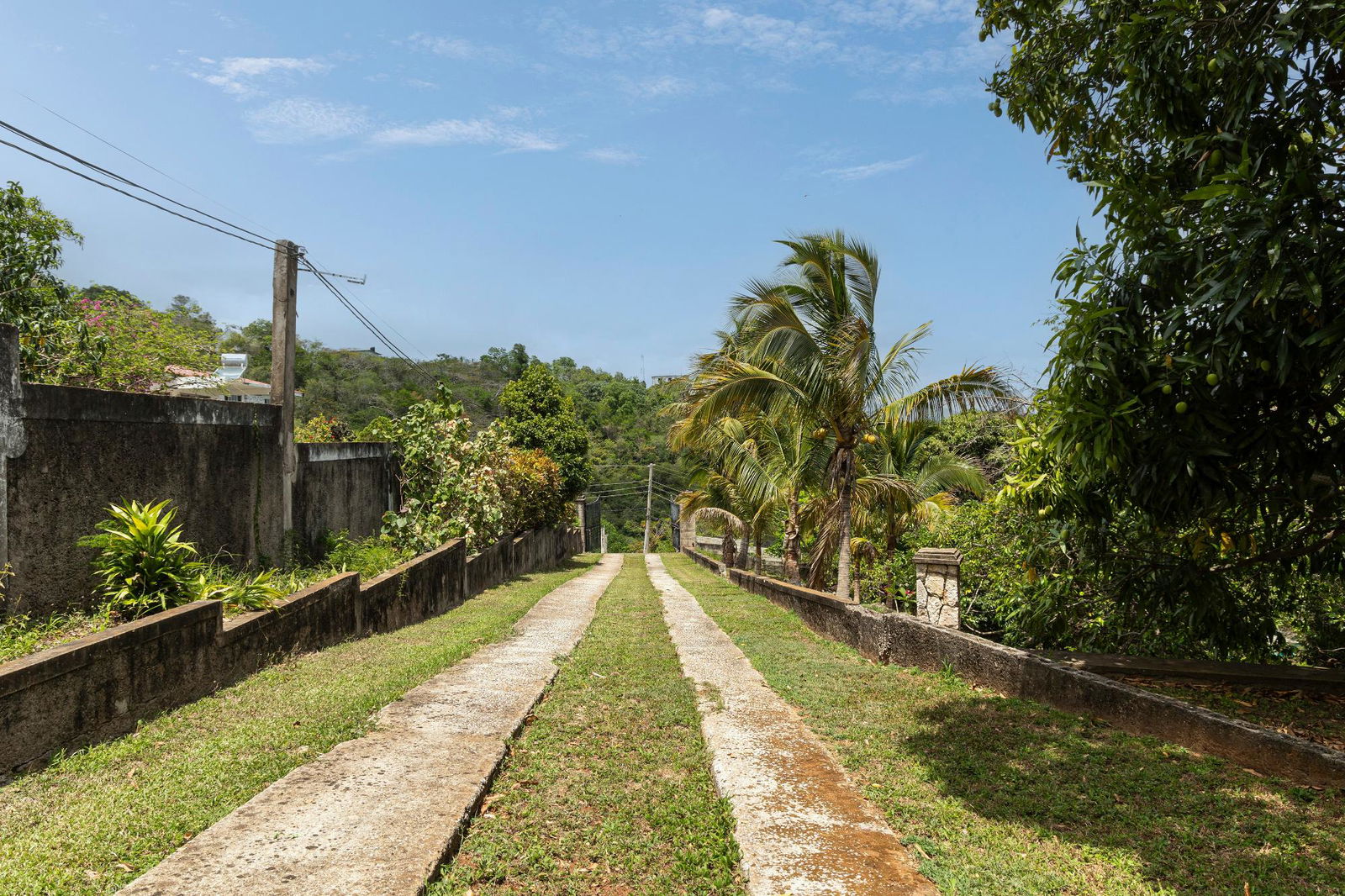 Third image of 114 Belvedere Drive , Kingsto in Kingston 19, St. Andrew, Jamaica - property is For Sale