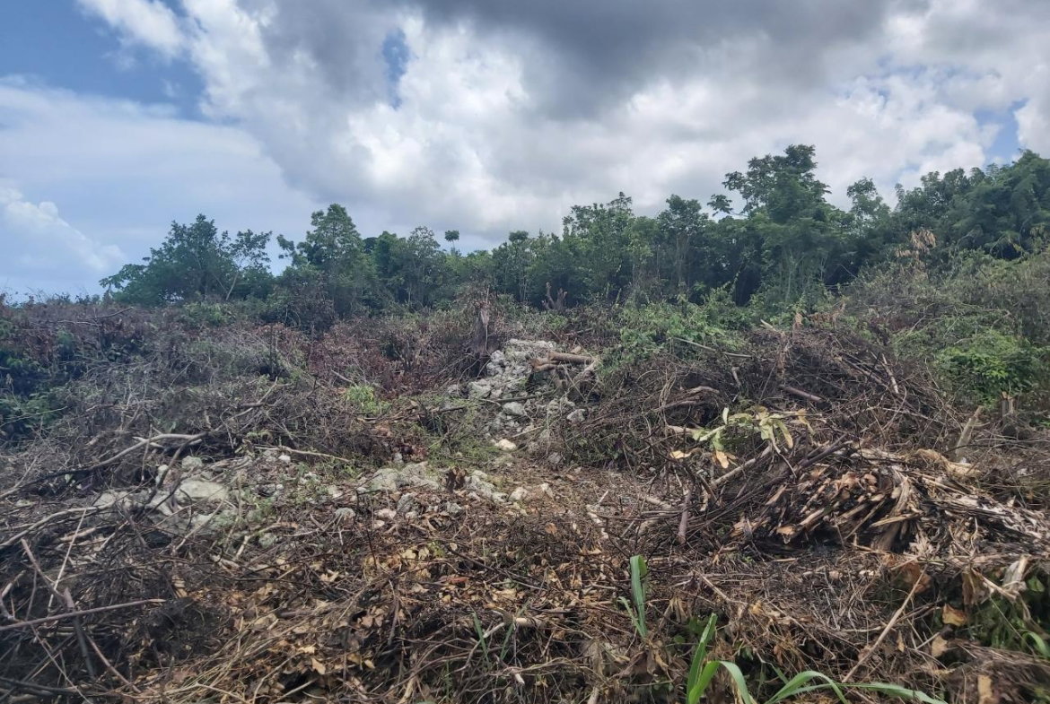 Third image of Lot 5 Huddersfield in Tower Isle, St. Mary, Jamaica - property is For Sale