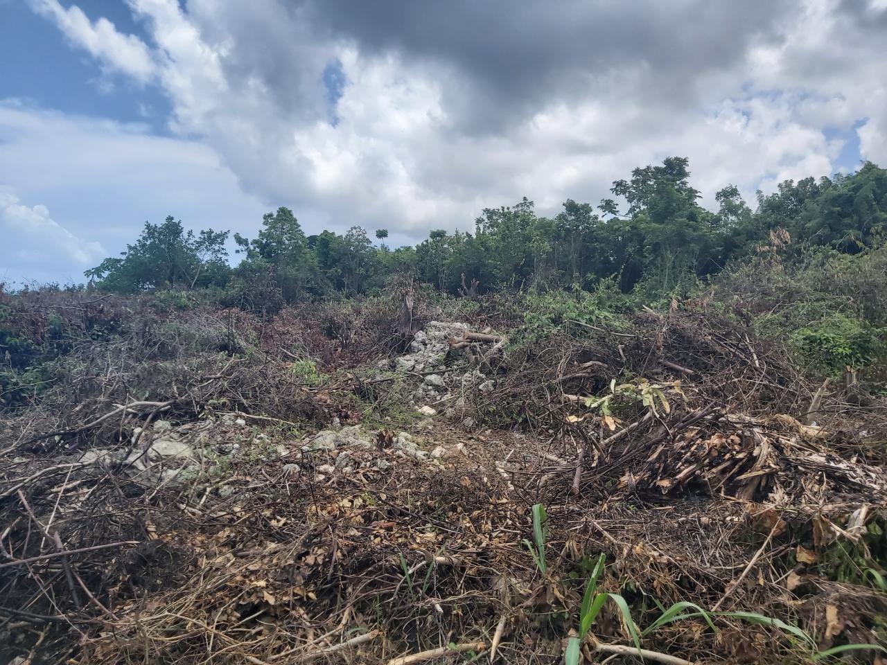 Third image of Lot 5 Huddersfield in Tower Isle, St. Mary, Jamaica - property is For Sale