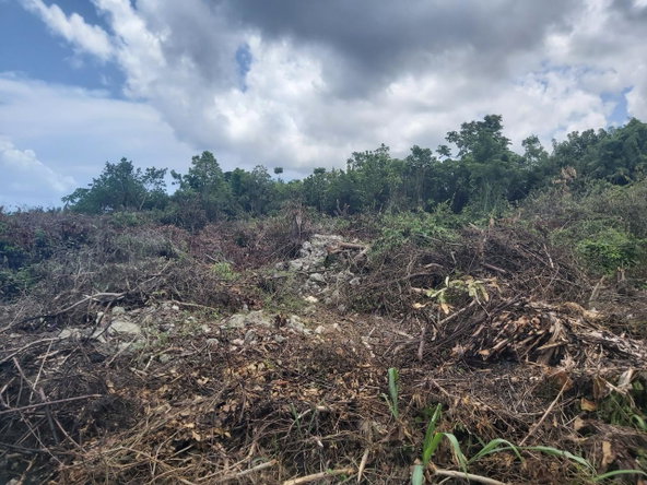 Third image of Lot 5 Huddersfield in Tower Isle, St. Mary, Jamaica - property is For Sale