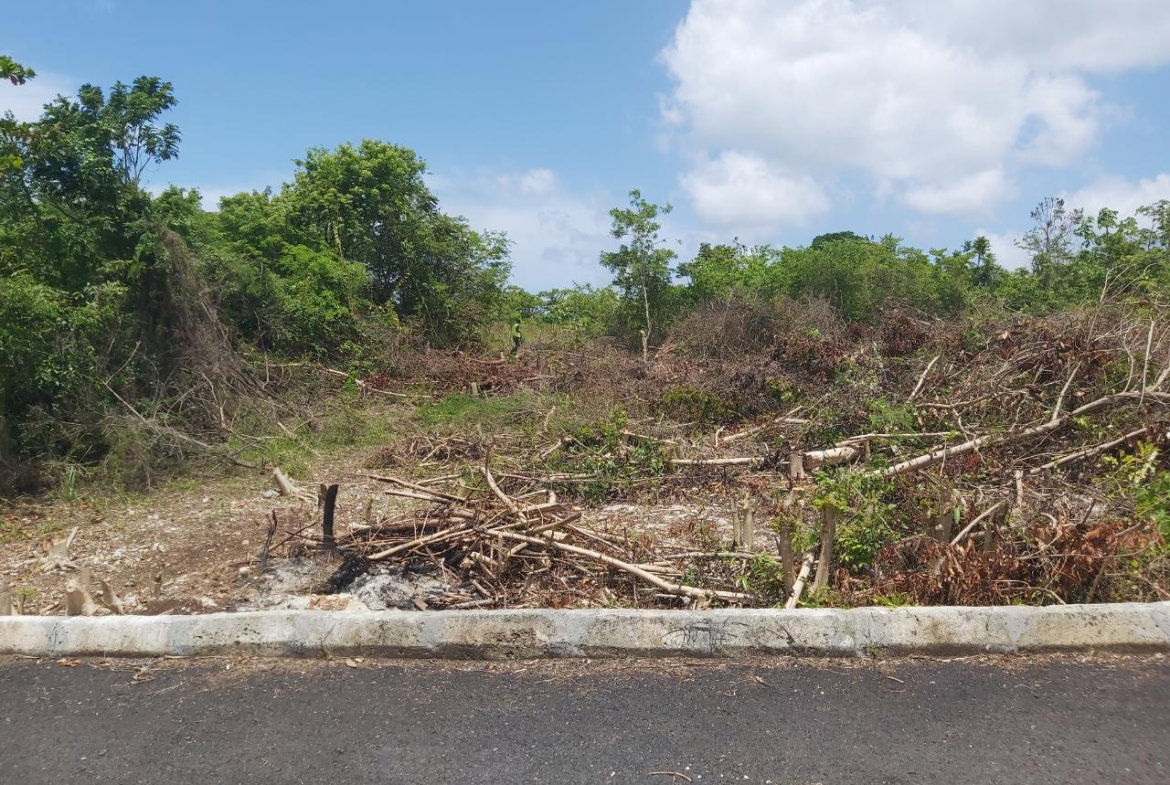 Fourth image of Lot 5 Huddersfield in Tower Isle, St. Mary, Jamaica - property is For Sale