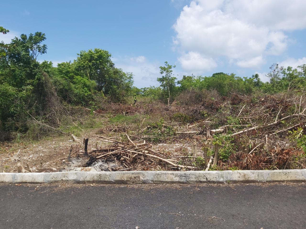 Fourth image of Lot 5 Huddersfield in Tower Isle, St. Mary, Jamaica - property is For Sale