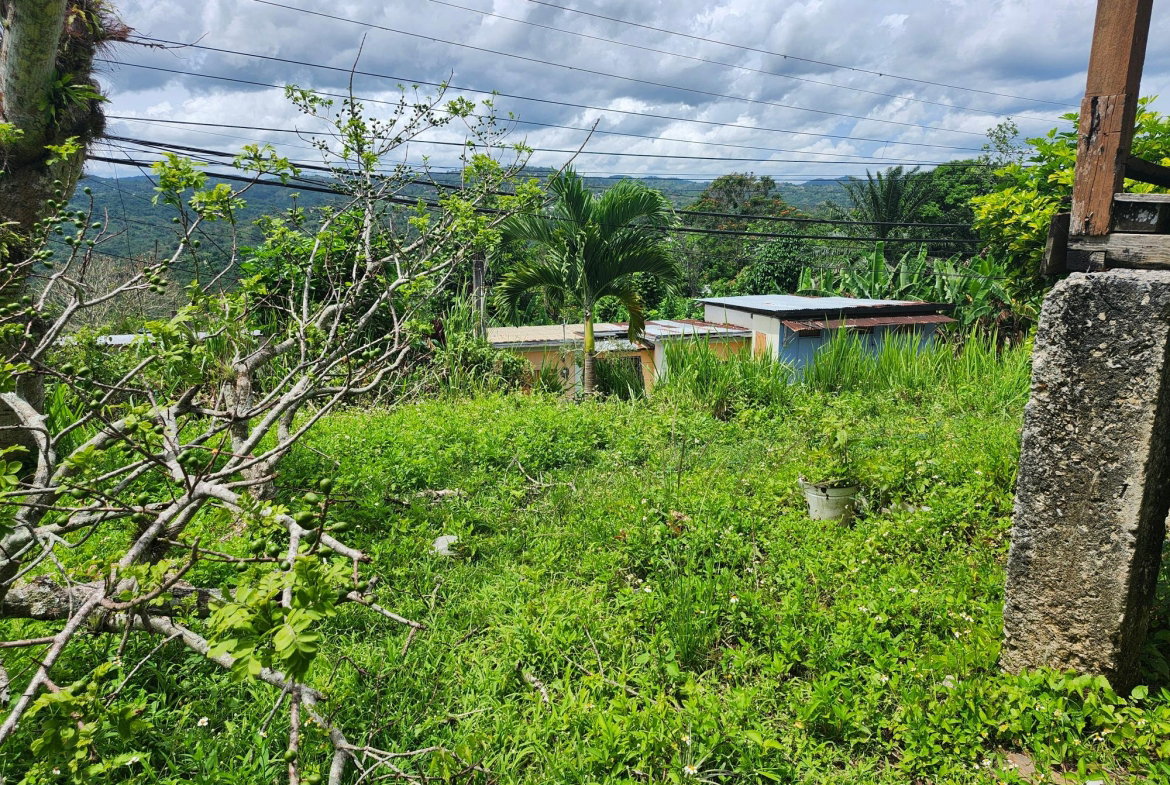 Second image of Albert Twn Albert Town P.o. Trelawny in Albert Town, Trelawny, Jamaica - property is For Sale
