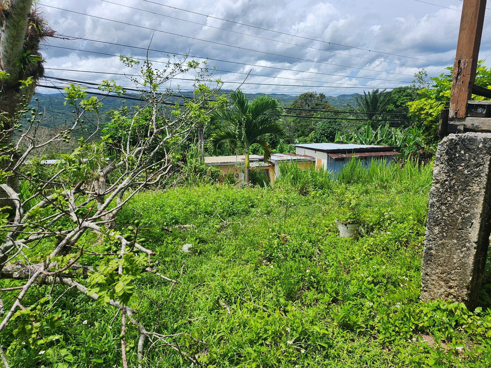 Stunning-Residential-Lot-for-Sale-in-Albert-Town-Trelawny Second image of Albert Twn Albert Town P.o. Trelawny in Albert Town, Trelawny, Jamaica - property is For Sale