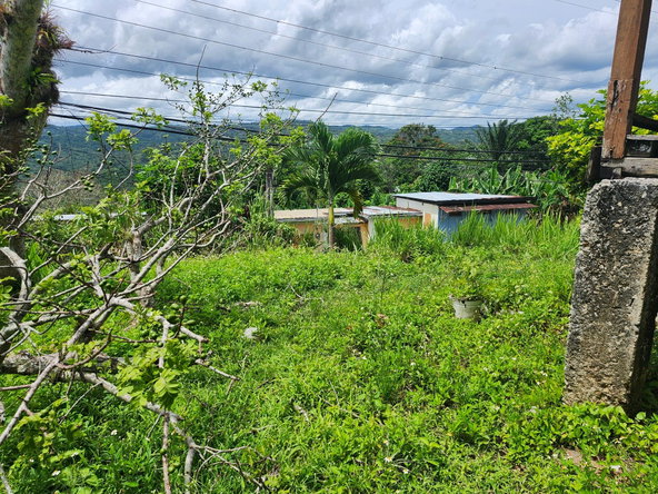 Second image of Albert Twn Albert Town P.o. Trelawny in Albert Town, Trelawny, Jamaica - property is For Sale