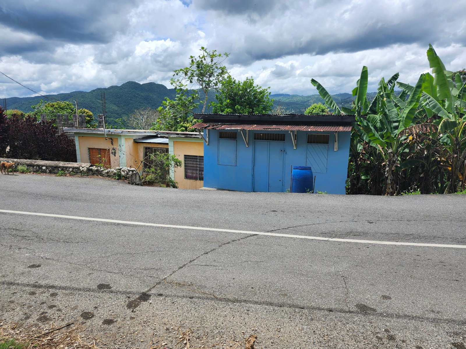 Stunning-Residential-Lot-for-Sale-in-Albert-Town-Trelawny Twelfth image of Albert Twn Albert Town P.o. Trelawny in Albert Town, Trelawny, Jamaica - property is For Sale