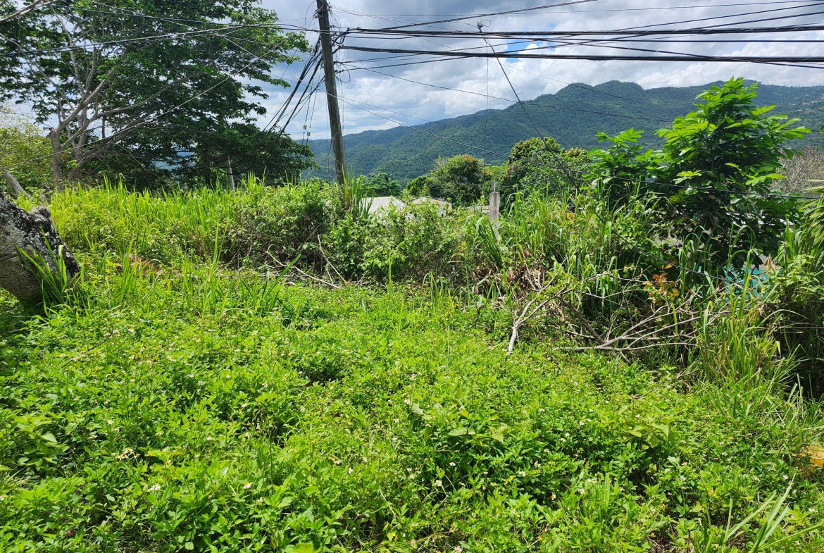 Third image of Albert Twn Albert Town P.o. Trelawny in Albert Town, Trelawny, Jamaica - property is For Sale