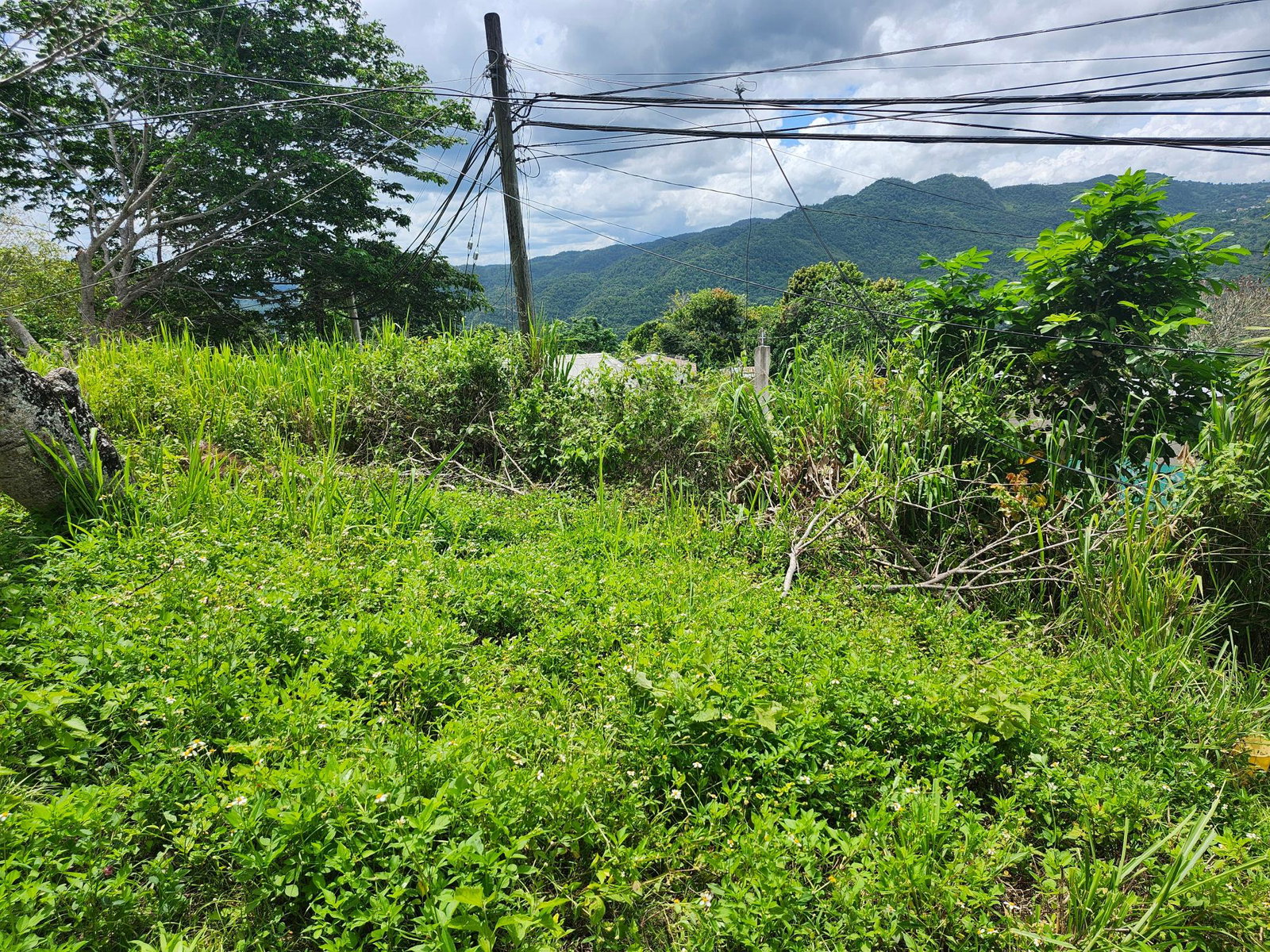 Stunning-Residential-Lot-for-Sale-in-Albert-Town-Trelawny Third image of Albert Twn Albert Town P.o. Trelawny in Albert Town, Trelawny, Jamaica - property is For Sale
