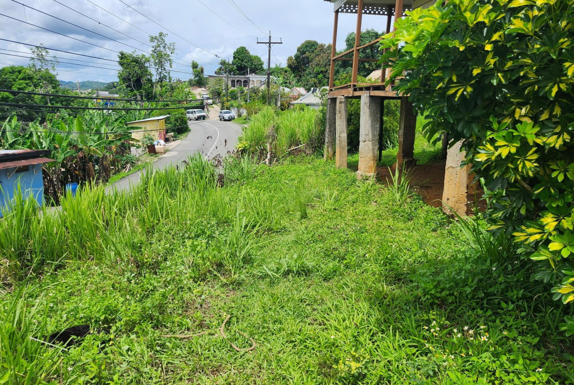 Fourth image of Albert Twn Albert Town P.o. Trelawny in Albert Town, Trelawny, Jamaica - property is For Sale