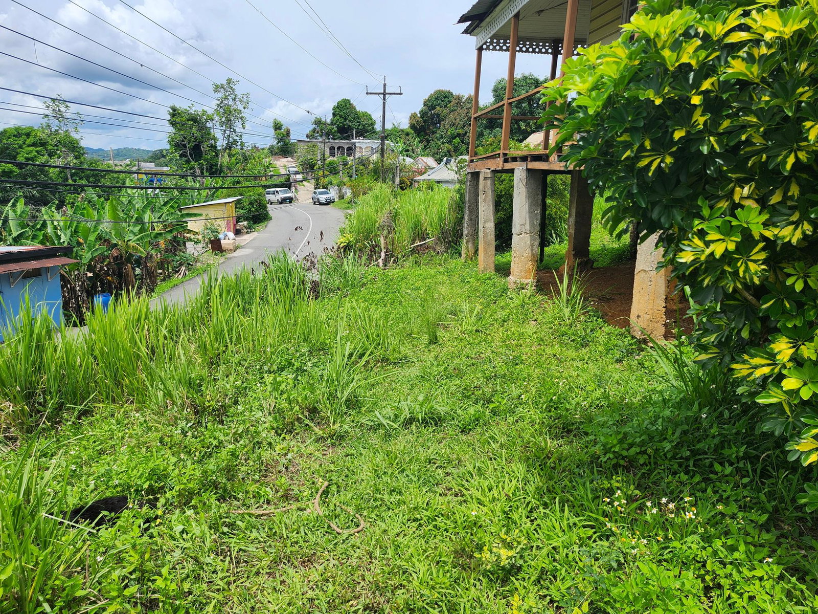 Stunning-Residential-Lot-for-Sale-in-Albert-Town-Trelawny Fourth image of Albert Twn Albert Town P.o. Trelawny in Albert Town, Trelawny, Jamaica - property is For Sale