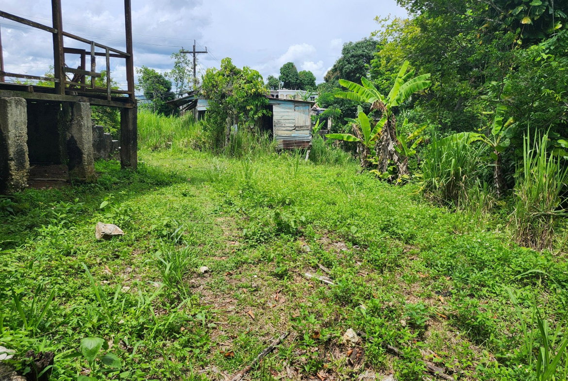 Sixth image of Albert Twn Albert Town P.o. Trelawny in Albert Town, Trelawny, Jamaica - property is For Sale