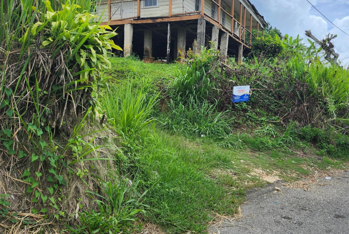 Ninth image of Albert Twn Albert Town P.o. Trelawny in Albert Town, Trelawny, Jamaica - property is For Sale