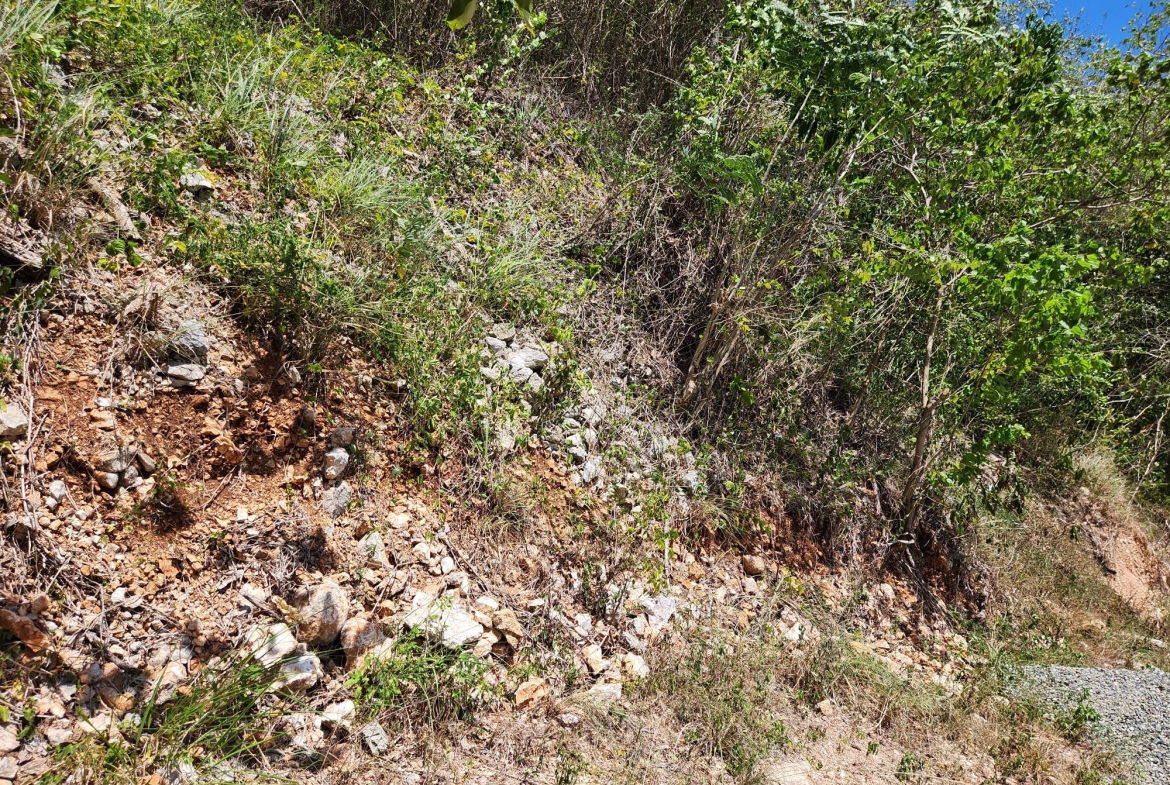 Second image of Michael Terrace Terrace in Kingston 19, St. Andrew, Jamaica - property is For Sale