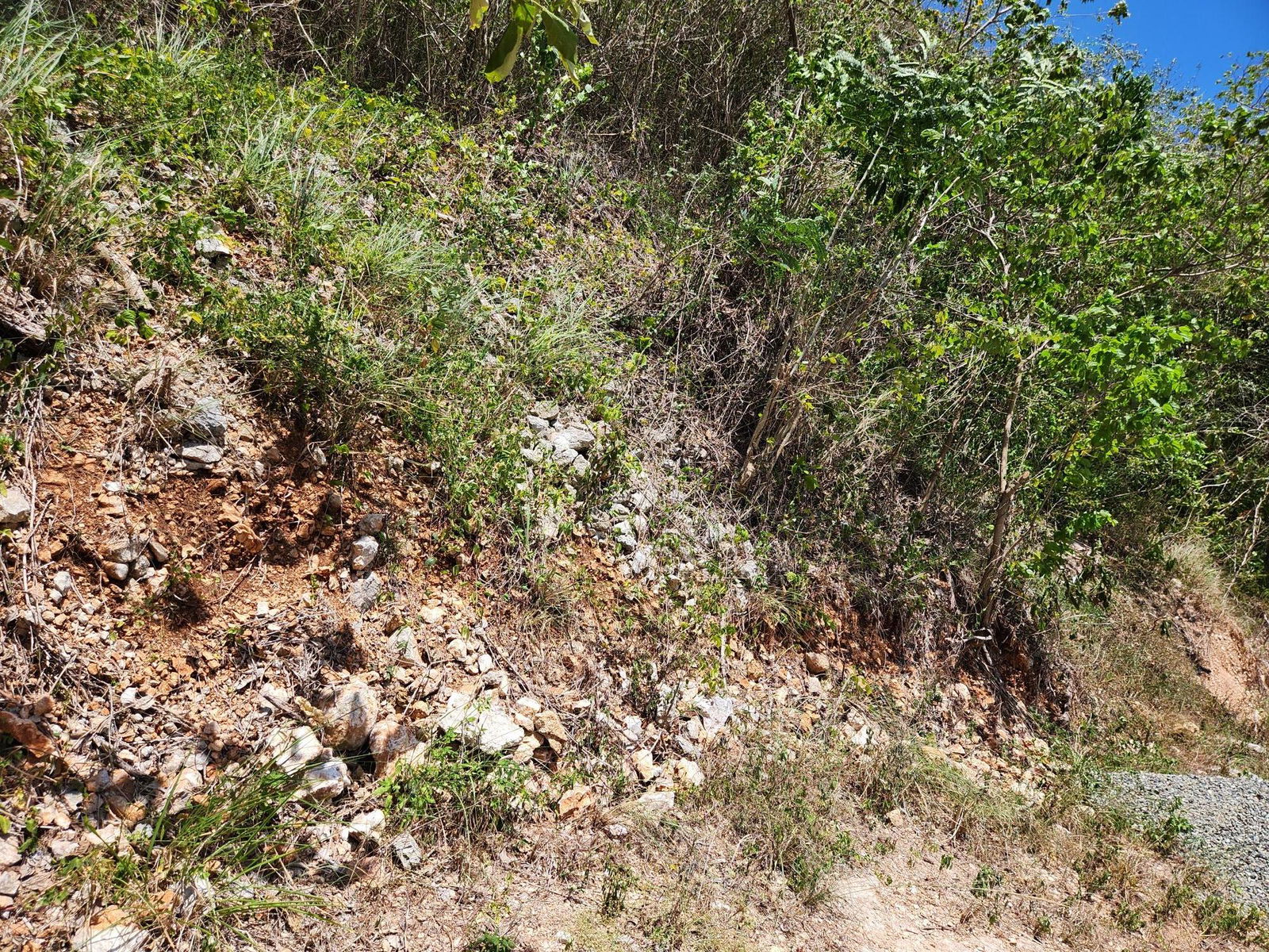 Second image of Michael Terrace Terrace in Kingston 19, St. Andrew, Jamaica - property is For Sale