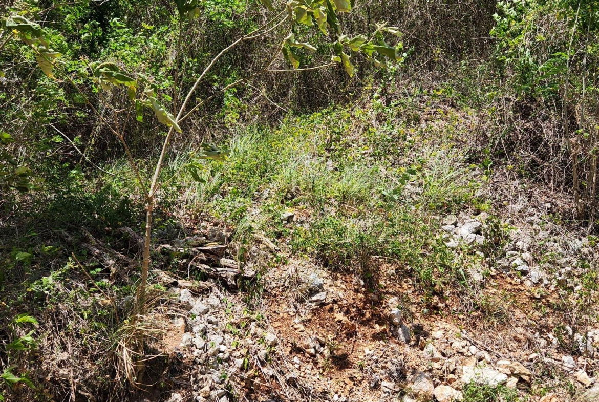 First image of Michael Terrace Terrace in Kingston 19, St. Andrew, Jamaica - property is For Sale