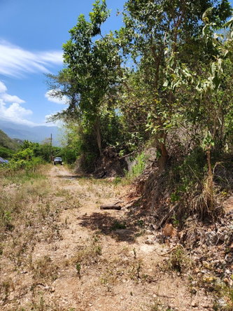 Third image of Michael Terrace Terrace in Kingston 19, St. Andrew, Jamaica - property is For Sale