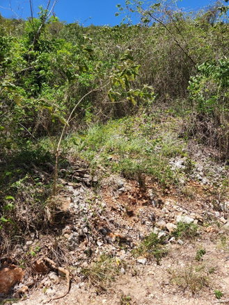 First image of Michael Terrace Terrace in Kingston 19, St. Andrew, Jamaica - property is For Sale