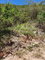 First image of Michael Terrace Terrace in Kingston 19, St. Andrew, Jamaica - property is For Sale