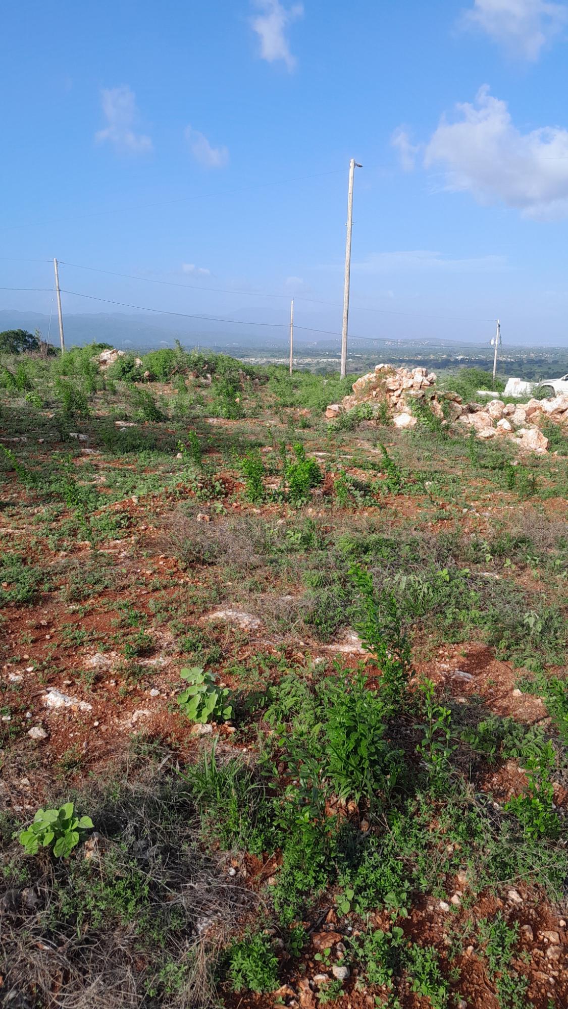 Seventh image of Lot 4 Bellevue Heights in Bellevue Heights, St. Catherine, Jamaica - property is For Sale