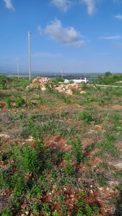 Eighth image of Lot 4 Bellevue Heights in Bellevue Heights, St. Catherine, Jamaica - property is For Sale