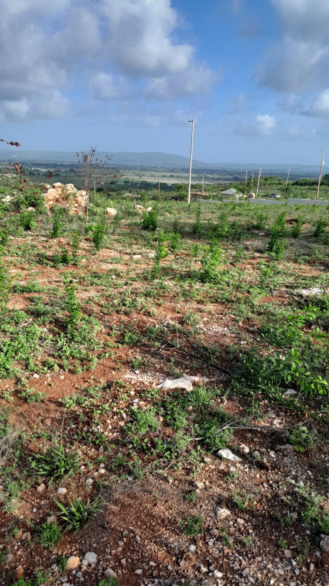 Tenth image of Lot 4 Bellevue Heights in Bellevue Heights, St. Catherine, Jamaica - property is For Sale