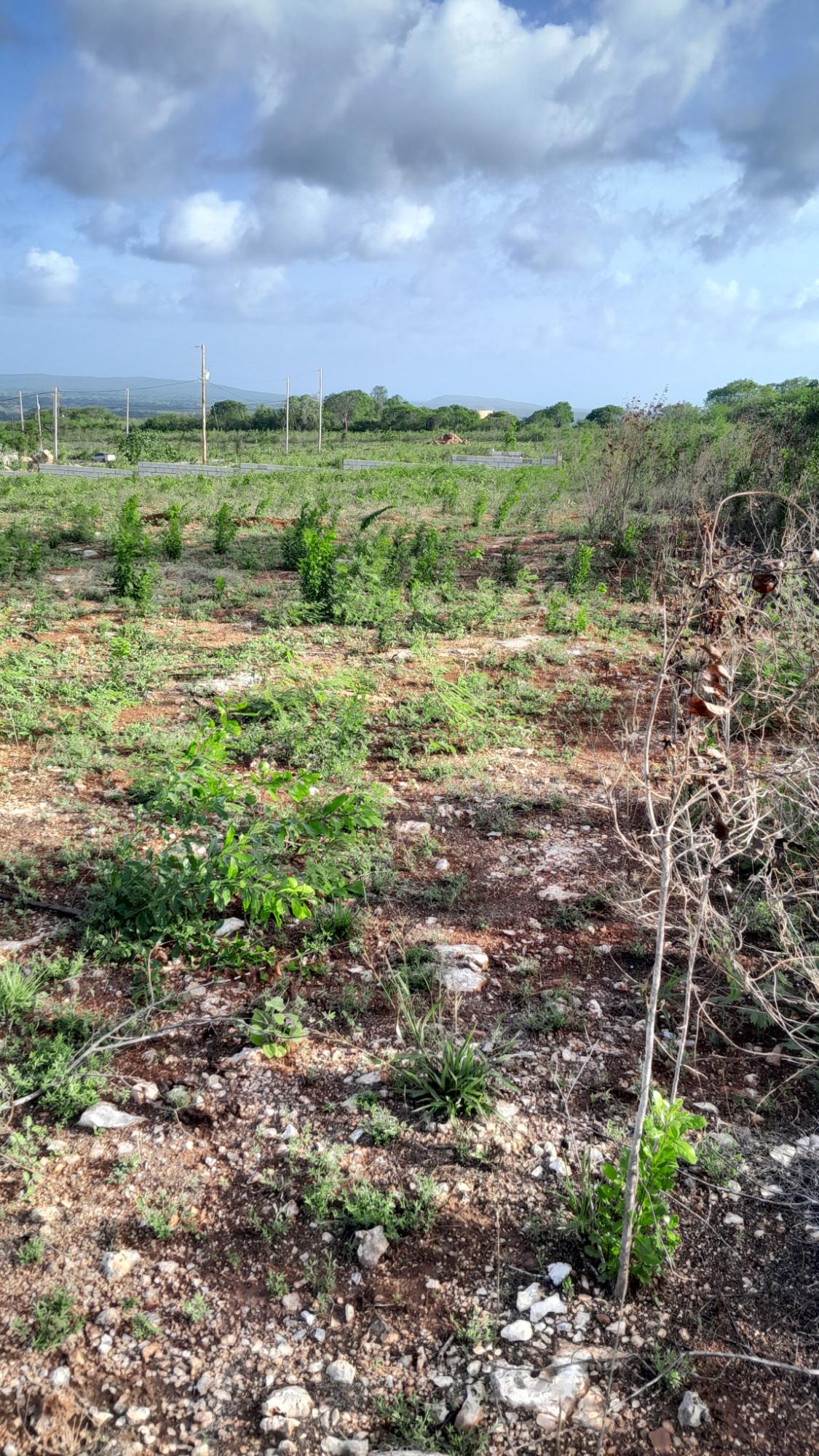 Eleventh image of Lot 4 Bellevue Heights in Bellevue Heights, St. Catherine, Jamaica - property is For Sale