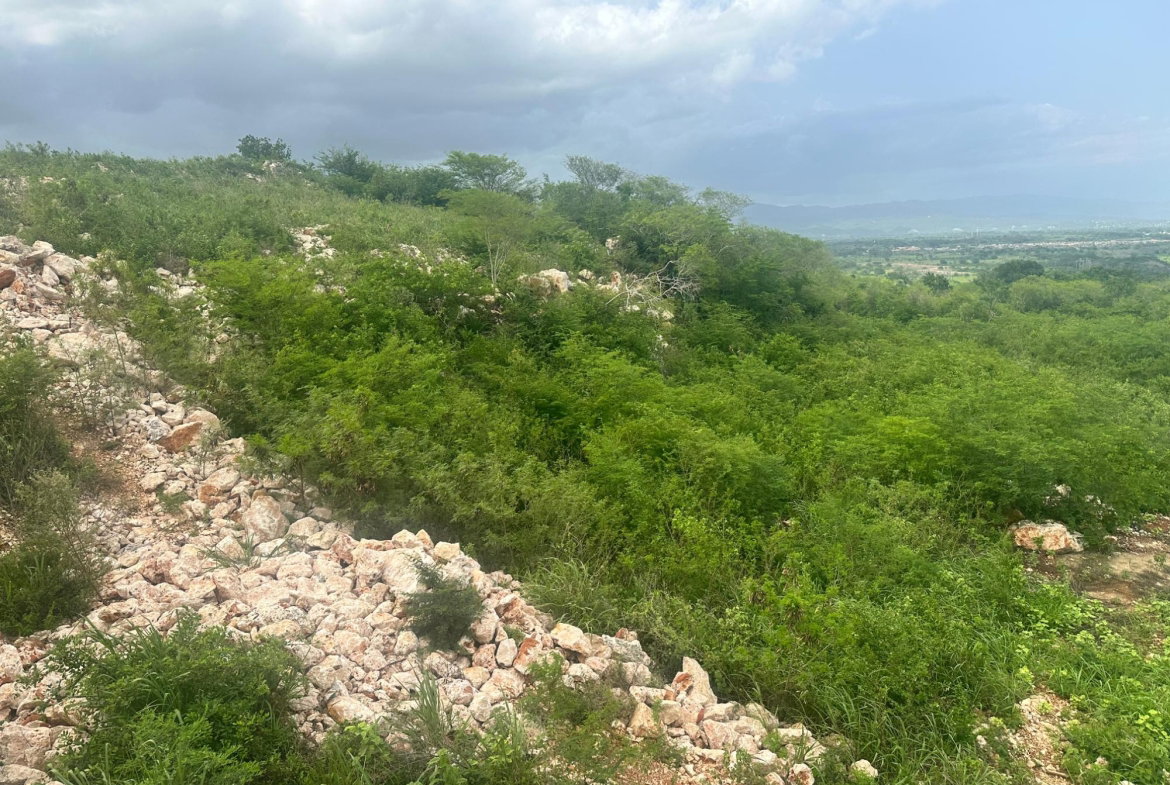 Eighth image of Lot 37 Bellevue Heights in Bellevue Heights, St. Catherine, Jamaica - property is For Sale