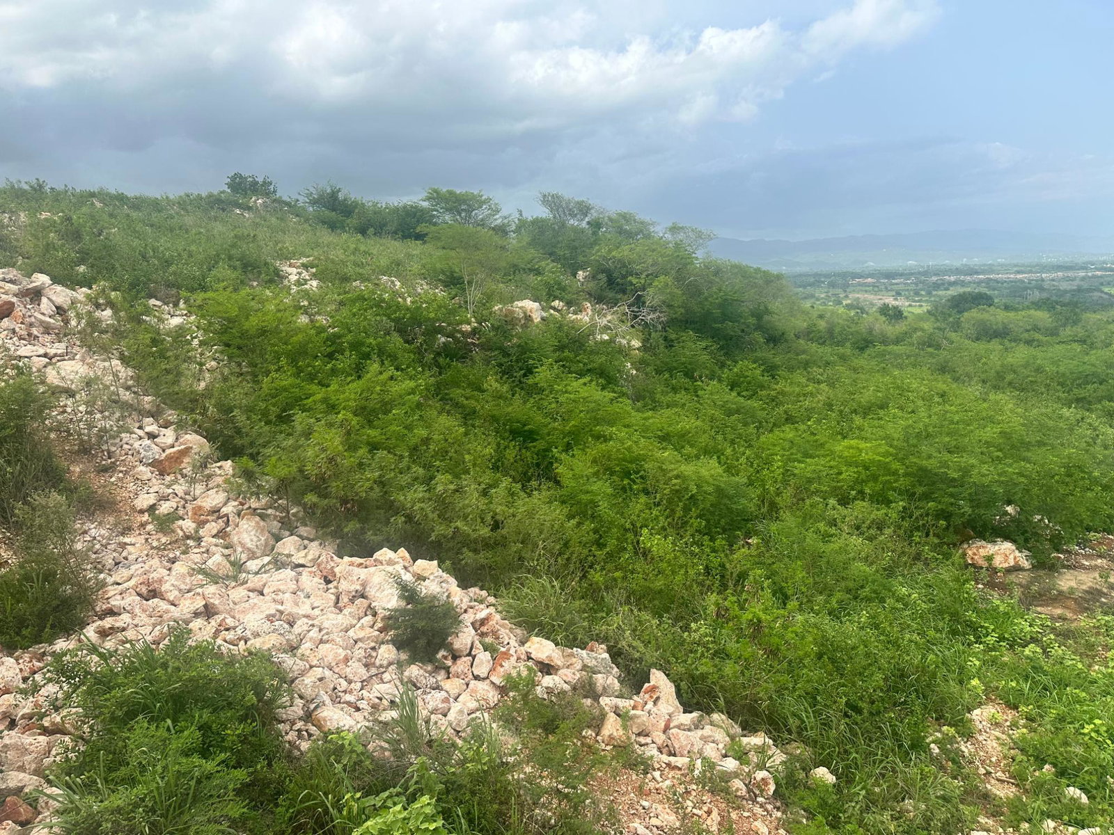 Eighth image of Lot 37 Bellevue Heights in Bellevue Heights, St. Catherine, Jamaica - property is For Sale