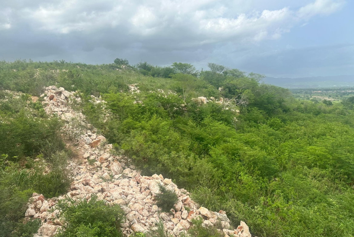Ninth image of Lot 37 Bellevue Heights in Bellevue Heights, St. Catherine, Jamaica - property is For Sale