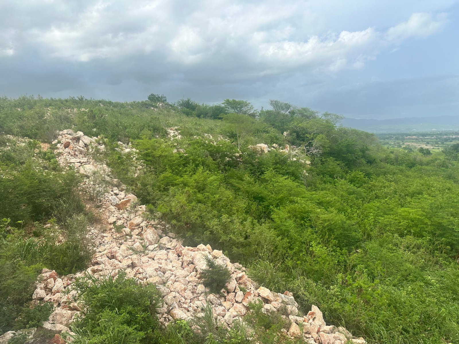 Ninth image of Lot 37 Bellevue Heights in Bellevue Heights, St. Catherine, Jamaica - property is For Sale